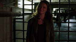 Root | Person of Interest Wiki | Fandom