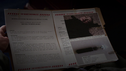 's file on Decima, regarding 's death.