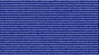 All In/Embedded codes | Person of Interest Wiki | Fandom