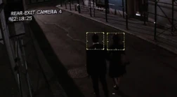 Root-capture 3.jpg (29 KB)