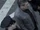 POI 0513 Taxi Driver.png