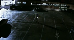 Reese-shot3.jpg (51 KB)