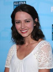 Amy-acker-2008-fox-networks-summer-tca-party-hq-01-1500