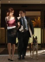 POI 0407 Bear assisting Det. Fusco