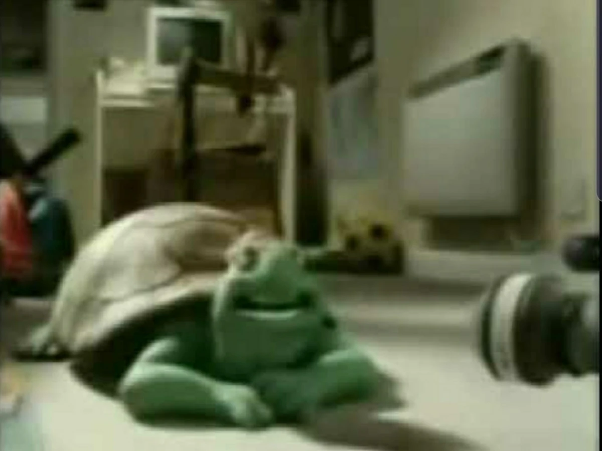 Persian Turtle Pedro Wiki Fandom