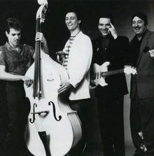 Fabulous Thunderbirds