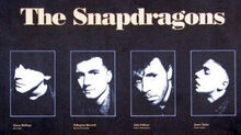 Snapdragons