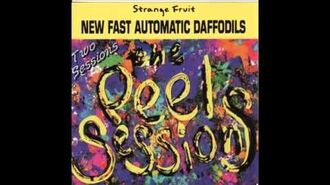 New_FADS_Peel_Sessions