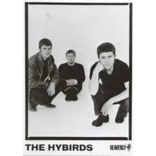 Hybirds