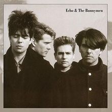 Echo Bunnymen