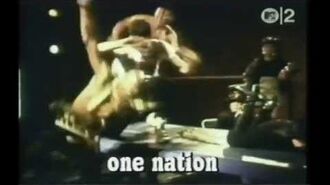 The_Beatnigs_-_Television