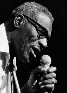 Howlin' Wolf 1972