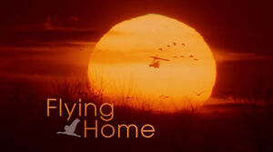 Flying-Home-Cover