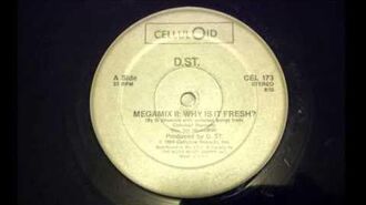 D.ST._-_Megamix_II-_Why_is_it_fresh?