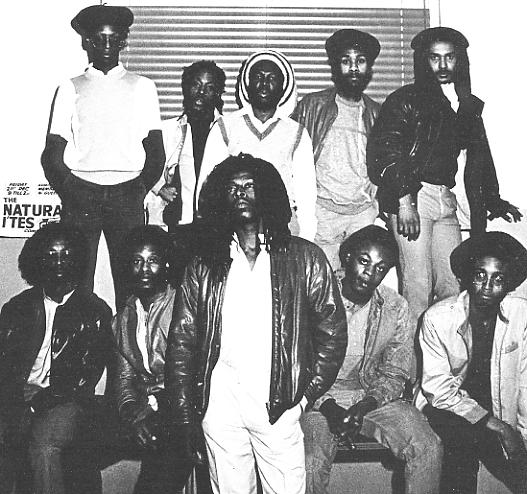 Naturalites / Naturalites In Ites レゲエ UK Naturalites - Naturalites In Ites (LP)
