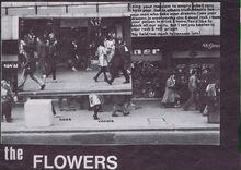 The Flowers