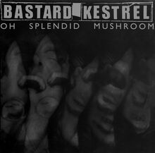 Bastard Kestrel