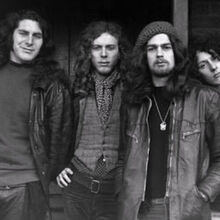 Pink Fairies