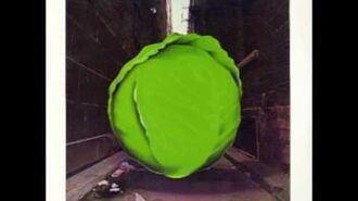 The_Meters_-_Birds