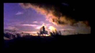 STEM_-_Dj_Shadow