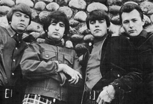 Standells
