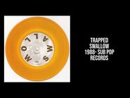 TRAPPED- (1988) Swallow