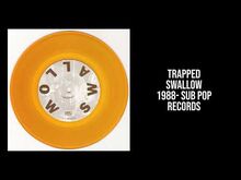 TRAPPED-_(1988)_Swallow