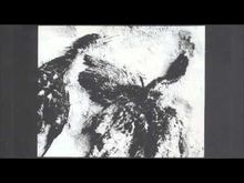 Skink-Violence