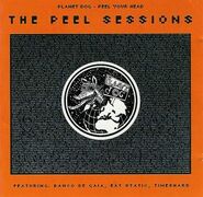 Planet Dog - Peel Sessions - Peel Your Head (1995, 10” / CD, Strange Fruit SFPMA214 / SFMCD 214)