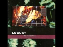 Locust_-_Lust