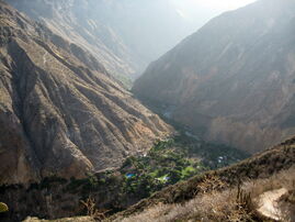 Colca-canyon-10