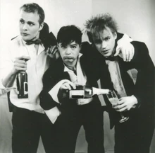 Absturzende Brieftauben