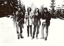 Trad Gras Och Stenar