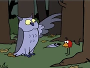 Chirp with Hoot and one of her feathers