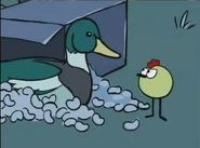 Allegedduck.png (685 KB) Peep with the duck statue