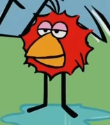 Chirp after shaking off water