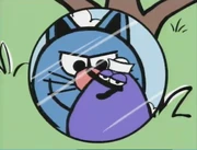 Tom as seen in Reflection Affection