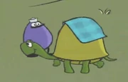 Newton with a piece of blue fabric on his shell