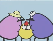 Peep between Quack and Female Quack