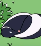 The skunk