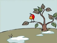 Chirp at her bush