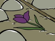 The flower crushed