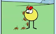 Peep with ants on him