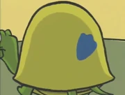 Newton with a Quack Print on his shell as seen in Peep Prints