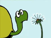 Newton with a dandelion