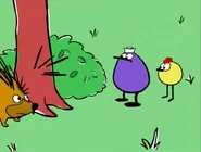 Porcupine shocking Quack