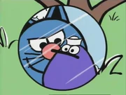Quack noticing Tom