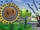 Plants v. Zombies