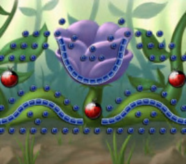 Level14web