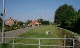 Brinkweg.v